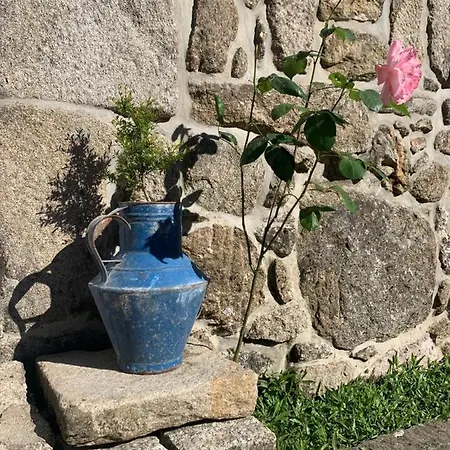 Casa Japoneiras Paredes de Coura