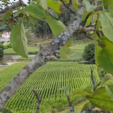 Casa Japoneiras *