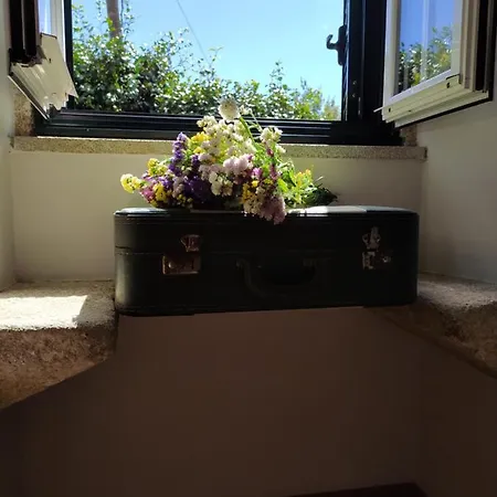 Vakantiehuis Casa Japoneiras