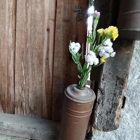 Дом отдыха Casa Japoneiras