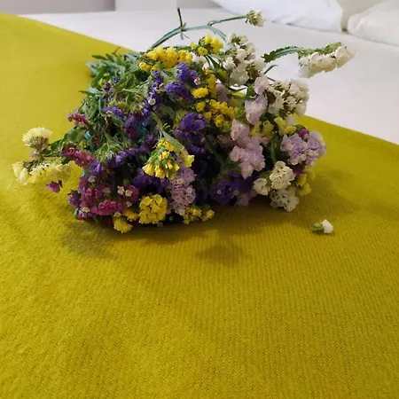 Casa Japoneiras Hébergement de vacances