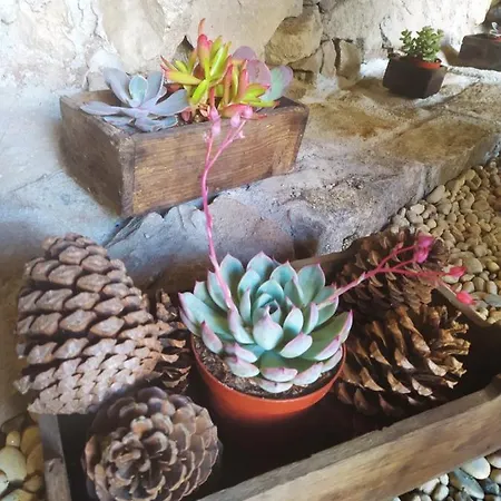 Casa Japoneiras *