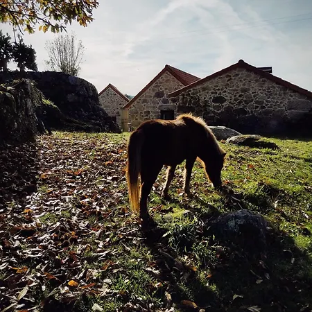 Vakantiehuis Casa Japoneiras Paredes de Coura