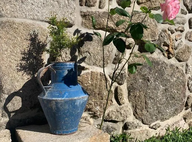 Casa Japoneiras Paredes de Coura