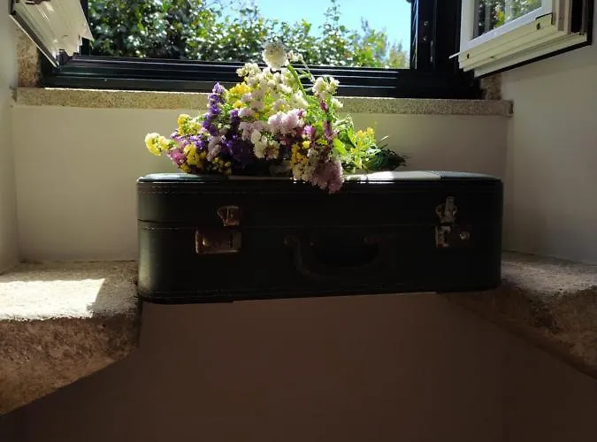 Tatil Evi Casa Japoneiras