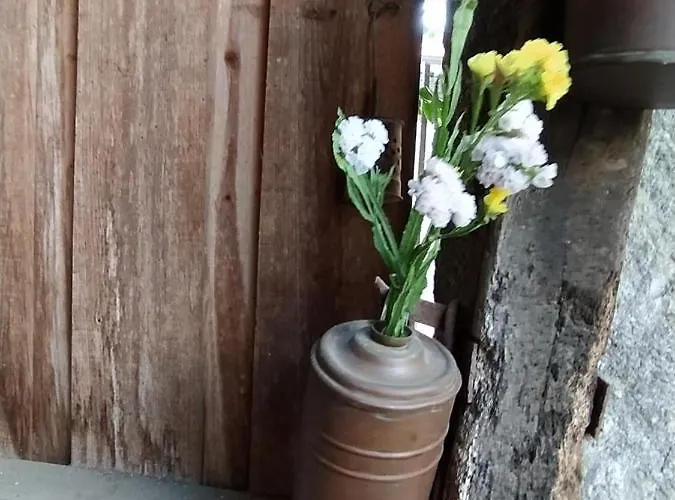 Tatil Evi Casa Japoneiras