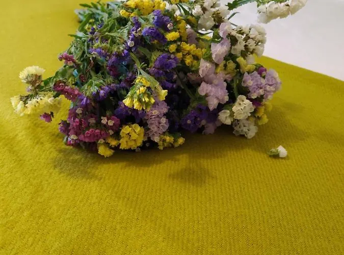 Casa Japoneiras Prázdninový dům