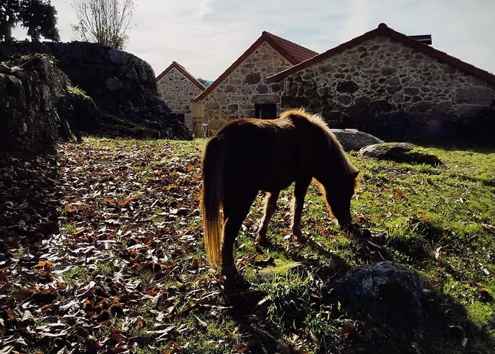 Prázdninový dům Casa Japoneiras Paredes de Coura